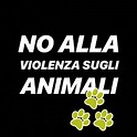 No alle violenze sugli animale. Serve un cambiamento culturale
